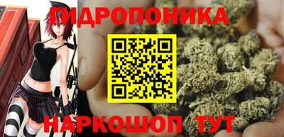 молекула духа Краснодар